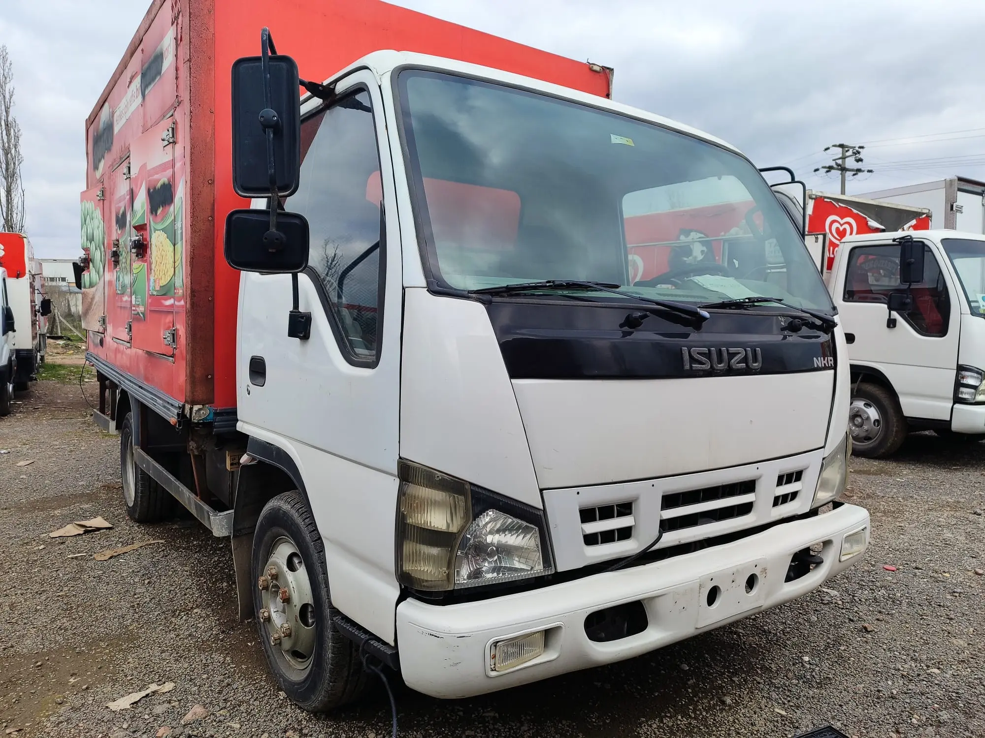 Isuzu Nkr Wİde / Kamyonet